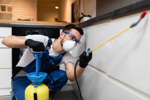 Best Pest Control Near Me in Houma, LA