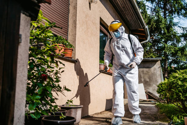 Best Pest Control Near Me  in Houma, LA