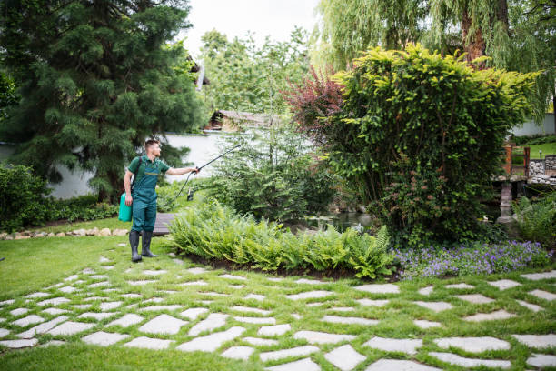 Best Best Pest Control Companies  in Houma, LA