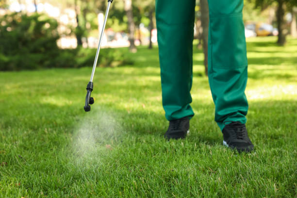 Best Termite Control Services  in Houma, LA