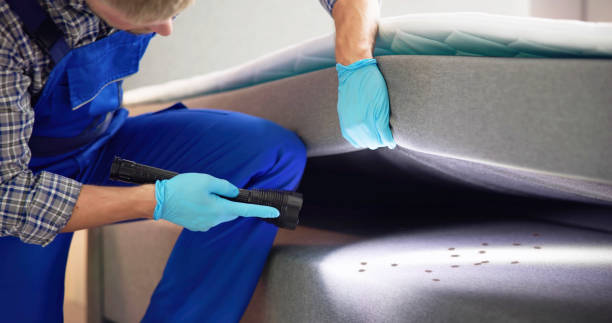 Best Affordable Pest Control Services  in Houma, LA