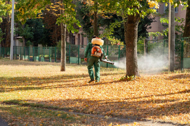 Best Mosquito Control Services  in Houma, LA