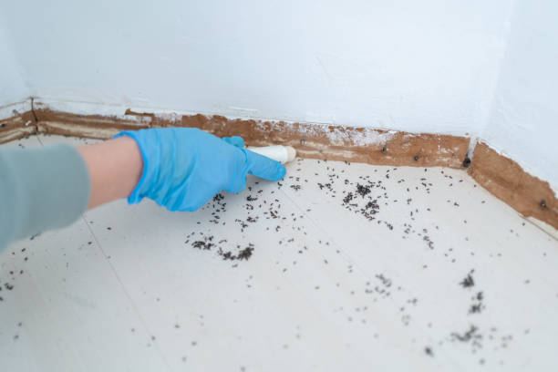 Best Pest Control Treatment  in Houma, LA